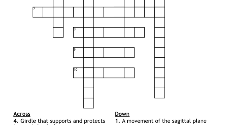 Pelvic And Pectoral Girdles Crossword WordMint