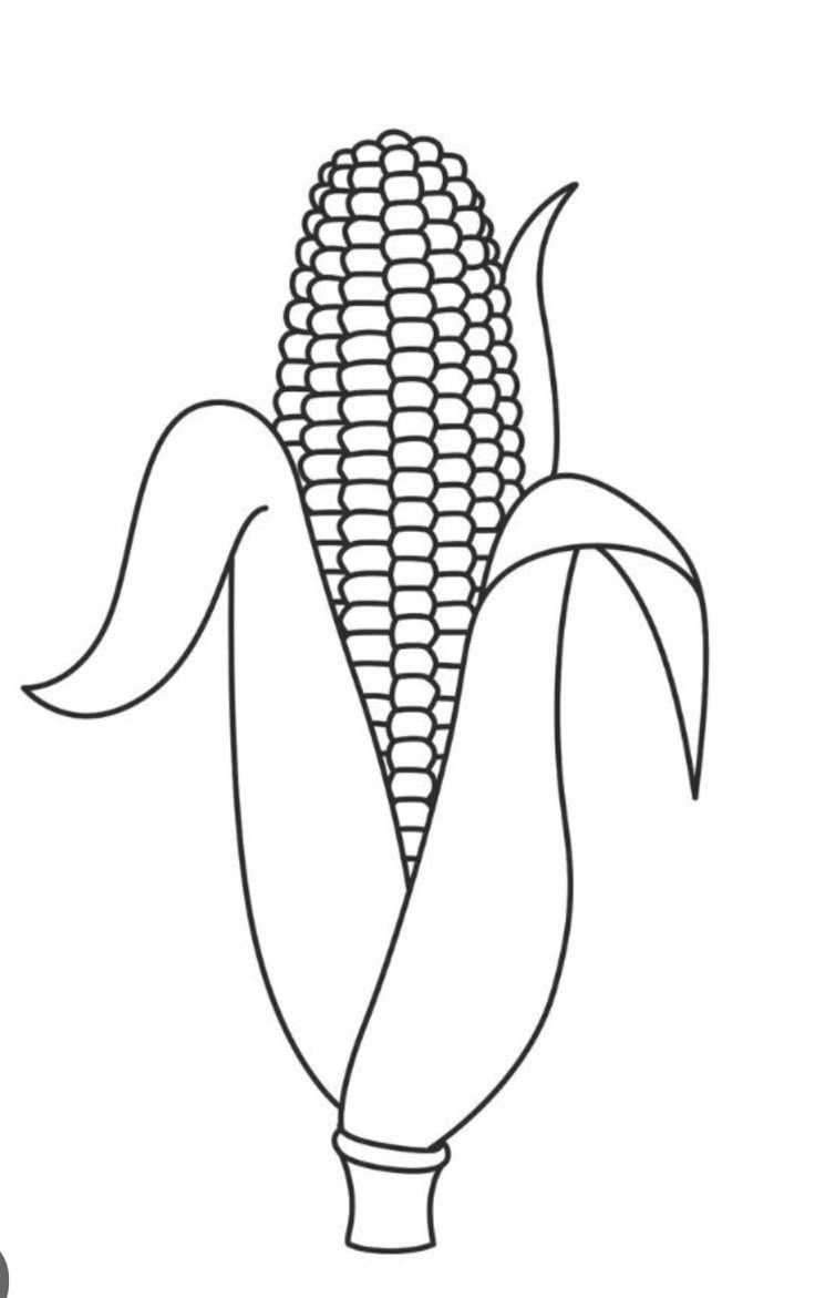 Pin By Veronica Alvarez On Fall Season Corn Drawing Coloring Pages Corn Pin By Veronica Alvarez On Fall Season Corn Drawing Coloring Pages Corn