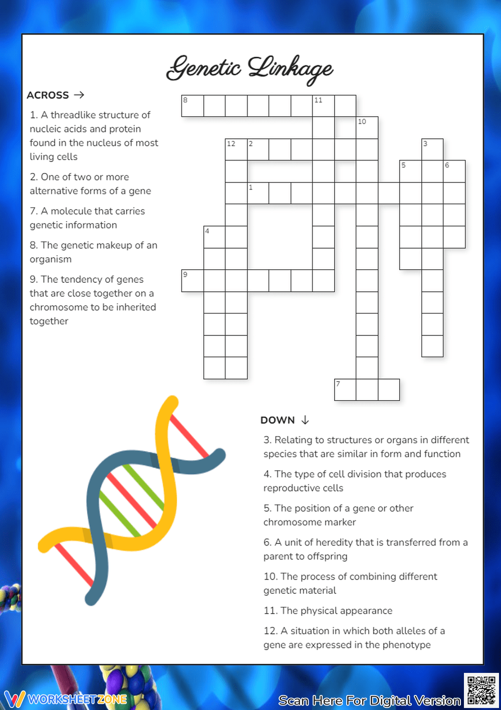 Printable Grade 5 Genetics Crossword Puzzle Worksheets Download