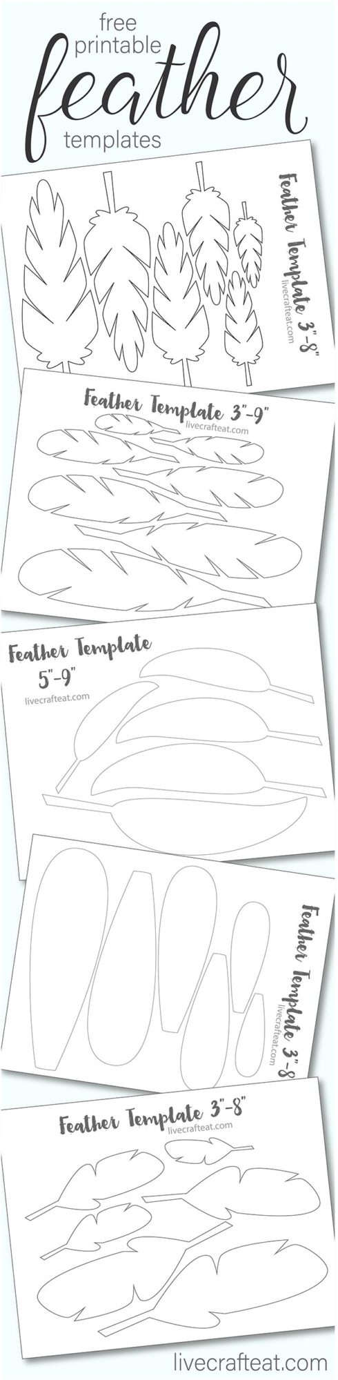 Printable Turkey Feather Patterns Templates Free Live Craft Eat