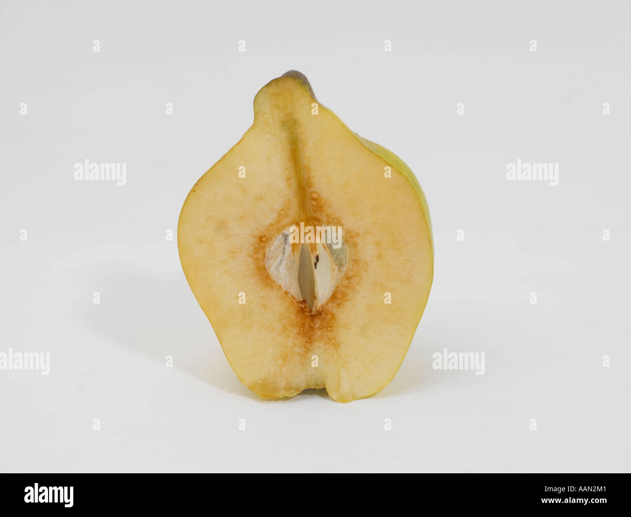 Quince Pear Half Fruit Hi res Stock Photography And Images Alamy