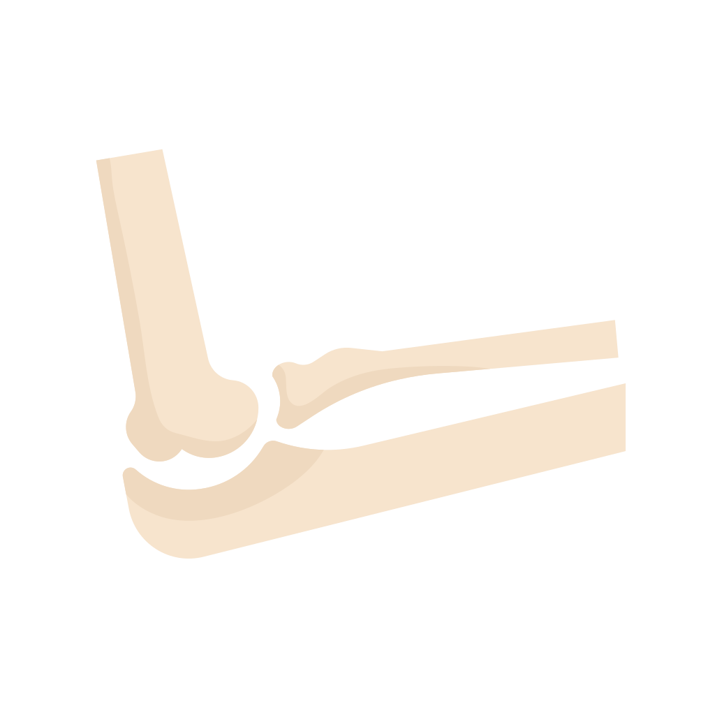 Related To An Arm Bone Nyt Letters Letters