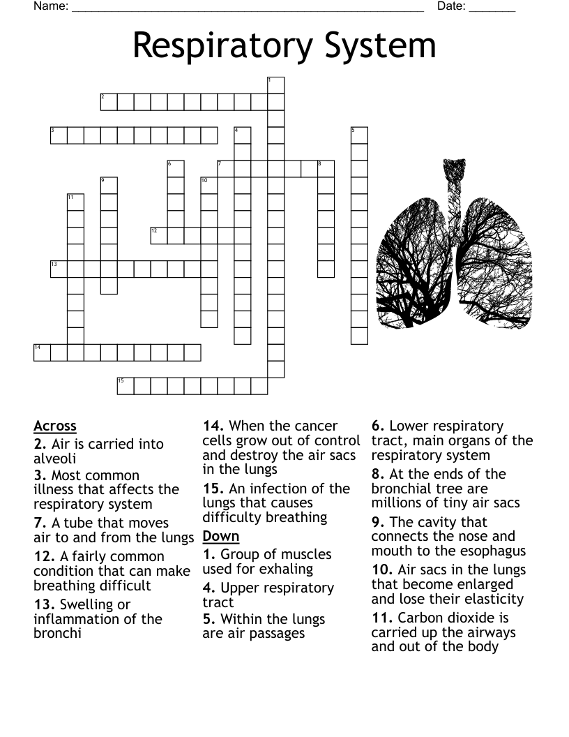 carried crossword clue