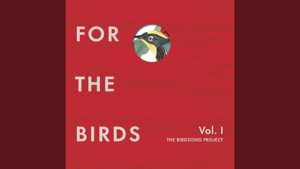 Rex Parker Does The NYT Crossword Puzzle Become Absurdly Outlandish As A TV Show MON 7 10 23 Expressions Of Gratitude In Texts Snoopy s Alter Ego In Sunglasses Disposable Parts Of Grocery Purchases