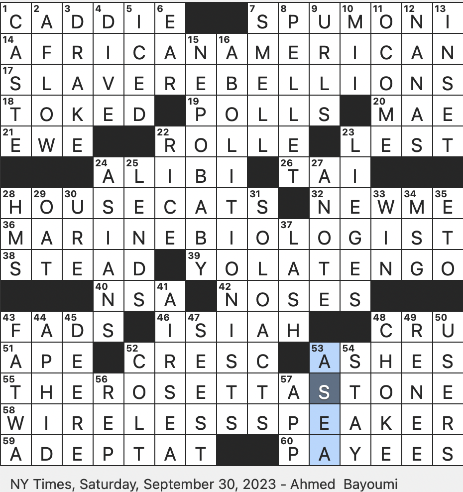 Rex Parker Does The NYT Crossword Puzzle Honeydew Producer SAT 9 30 23 W W II Combat Inits Rock Band With The 2023 Album This Stupid World Modern Coinage For Someone