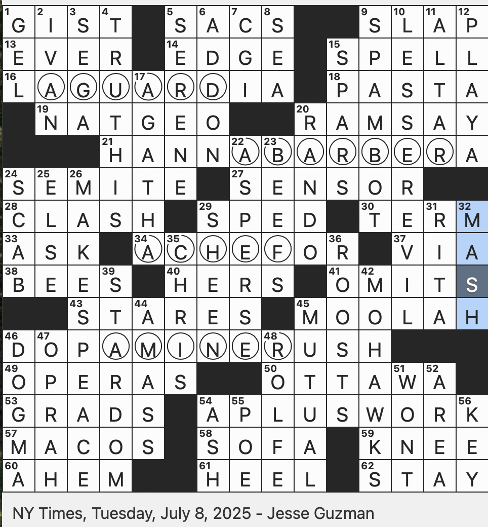 Rex Parker Does The NYT Crossword Puzzle Rock Out On Stage TUE 7 8 25 Place For A Coin Collection One Of Many On A Self driving Car What A Pleasure seeker
