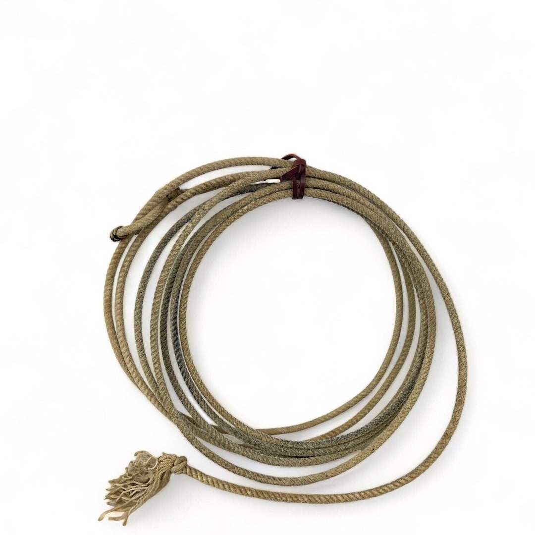 lasso crossword clue