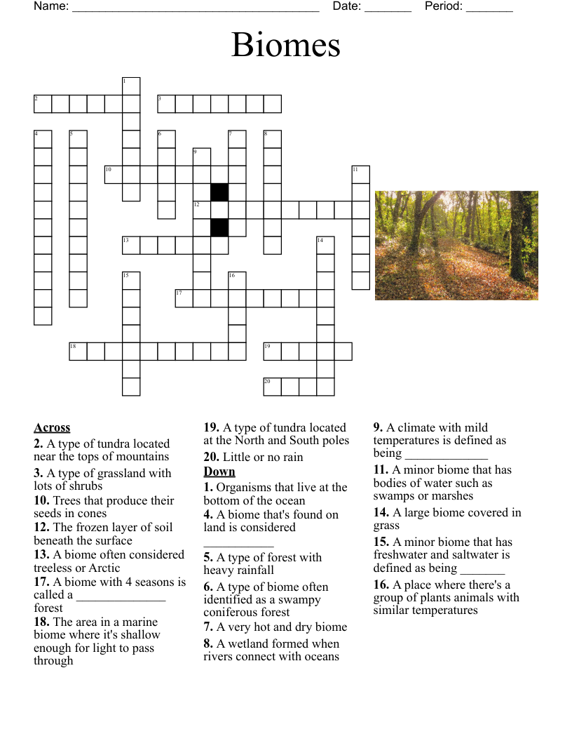 Saltwater Marsh Crossword WordMint Saltwater Marsh Crossword WordMint