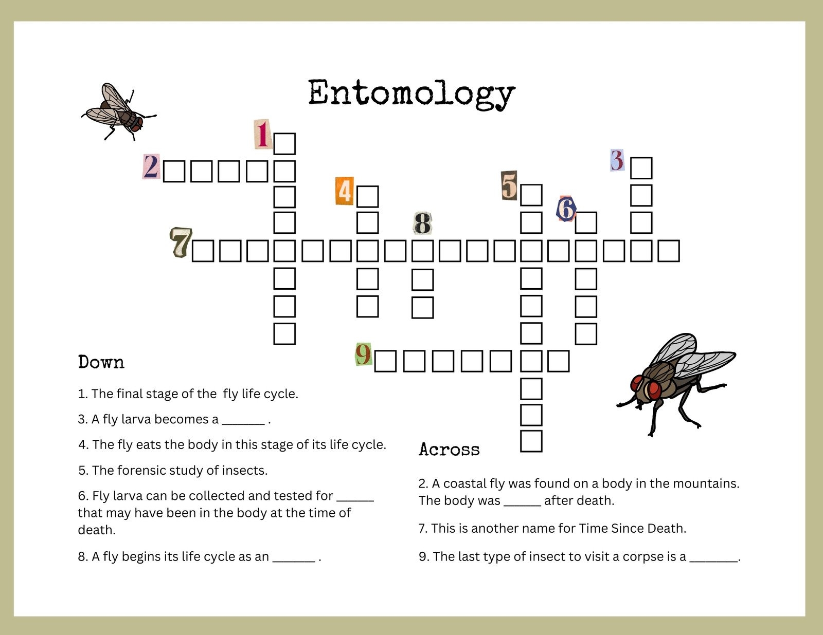 insect stage crossword clue insect stage crossword clue
