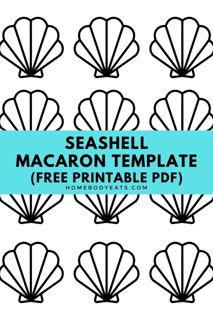 shell template printable
