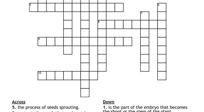 SEEDS Crossword WordMint
