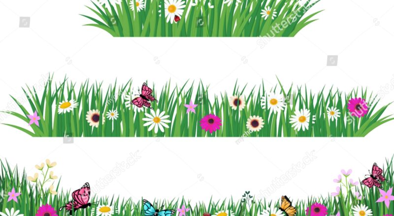 Set Green Grass Template Park Garden Stock Vector Royalty Free 794757073 Shutterstock