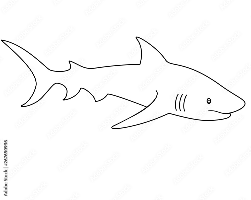 Shark Linear Vector Template For Coloring Outline Vector Animal Shark Fish Stock Vector Adobe Stock