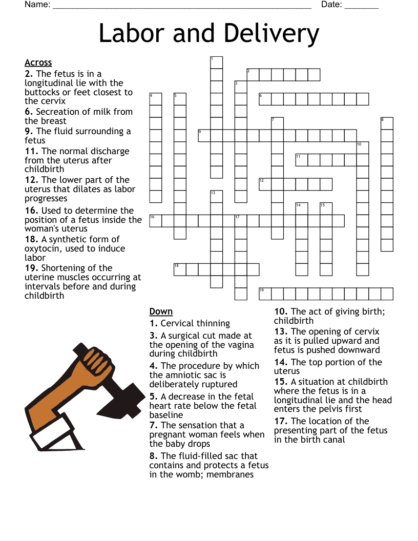 Shoulder Dystocia Crossword WordMint