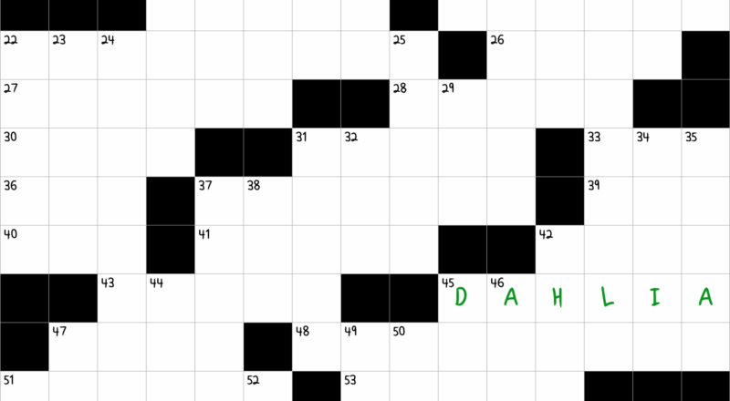 Showy Flower Native To Central America NYT Crossword Clue April 8 2025