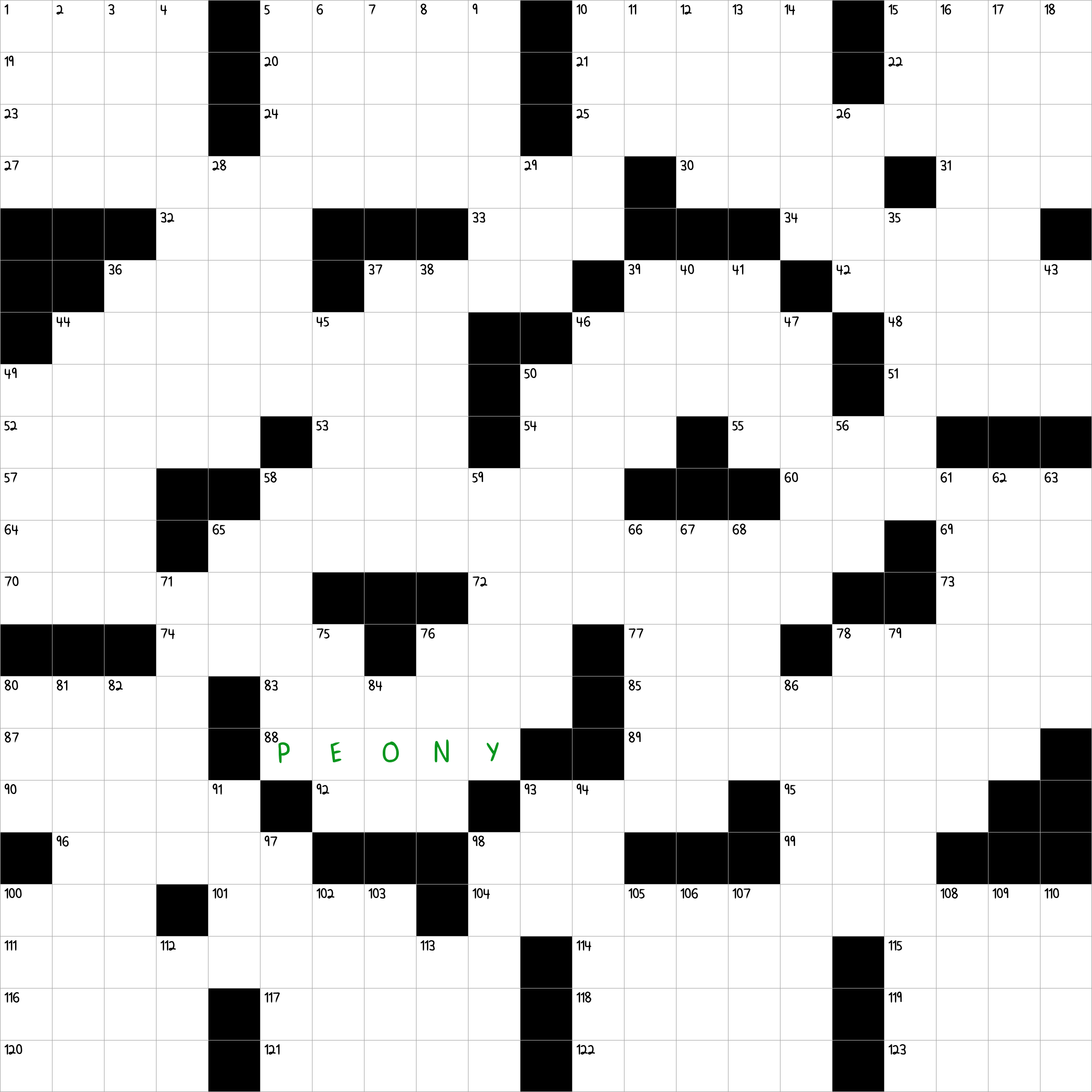 Showy Garden Flower NYT Crossword Clue August 18 2024