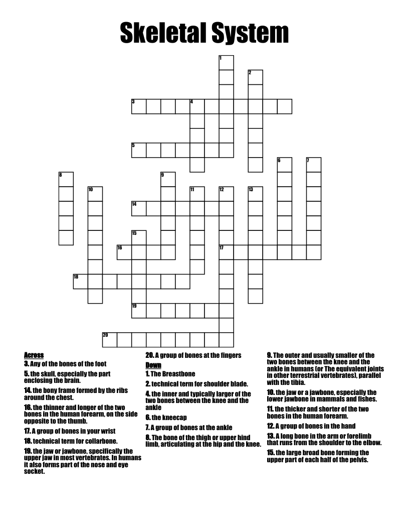 Skeletal System Crossword WordMint