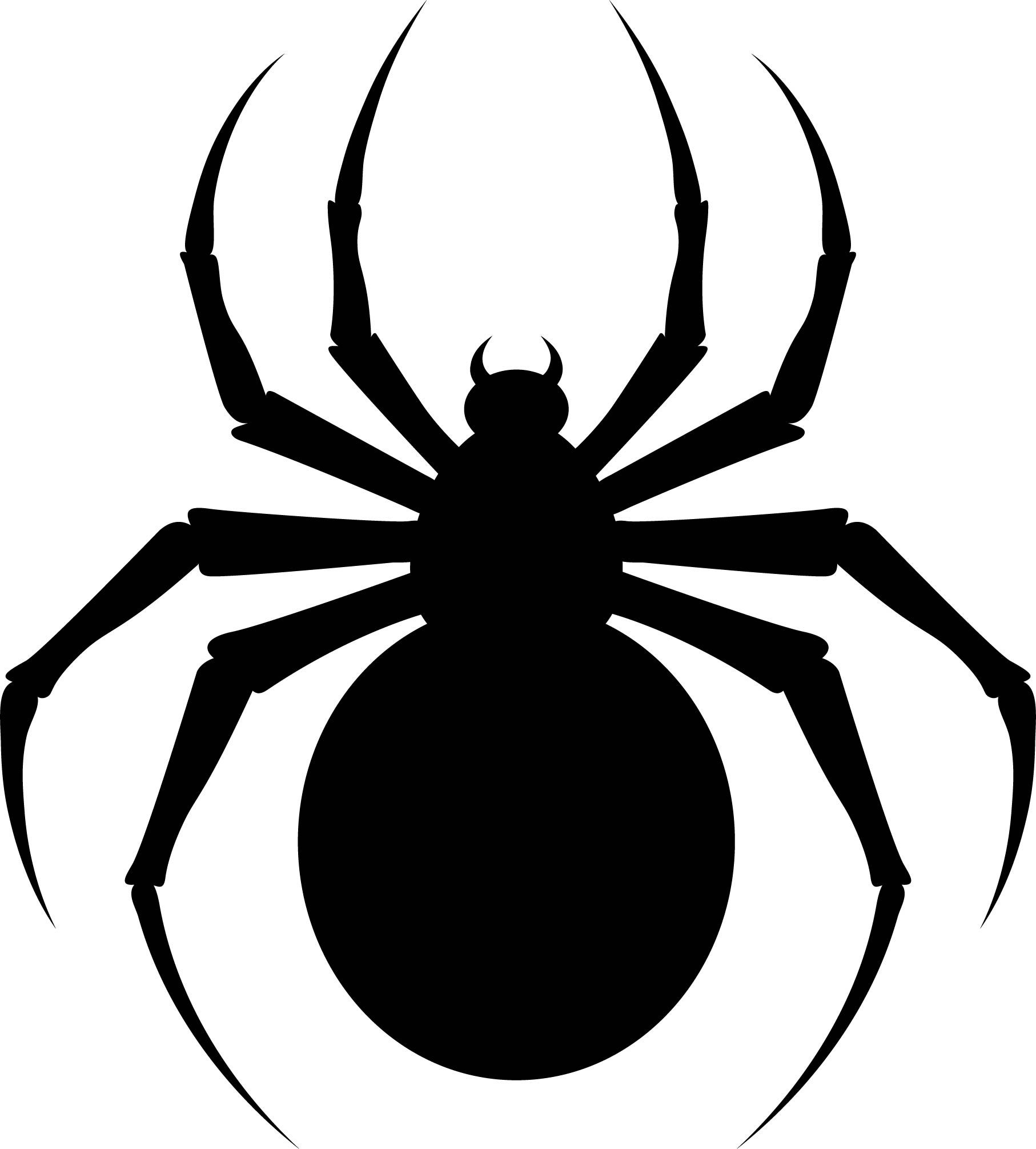 spider template printable