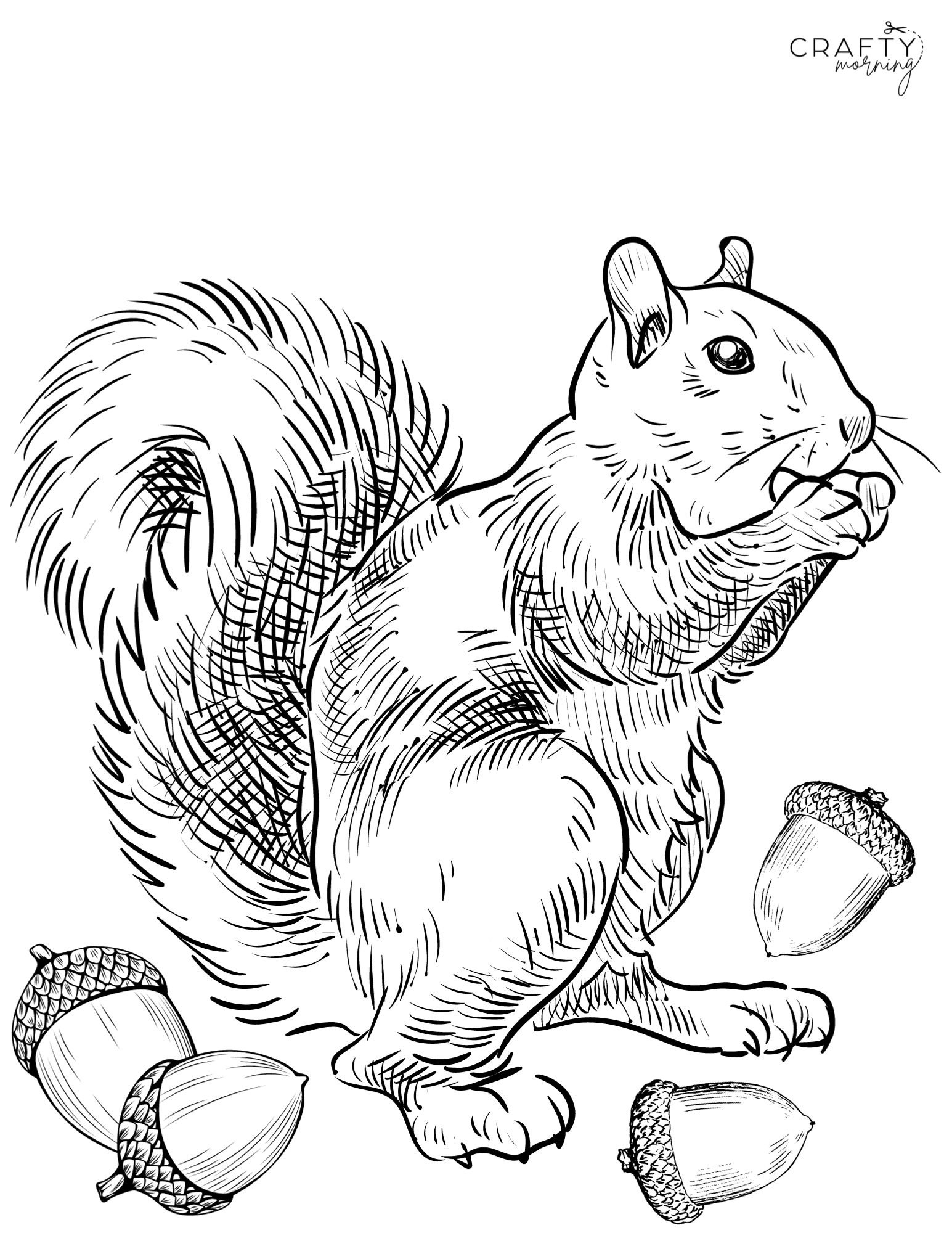 squirrel template printable