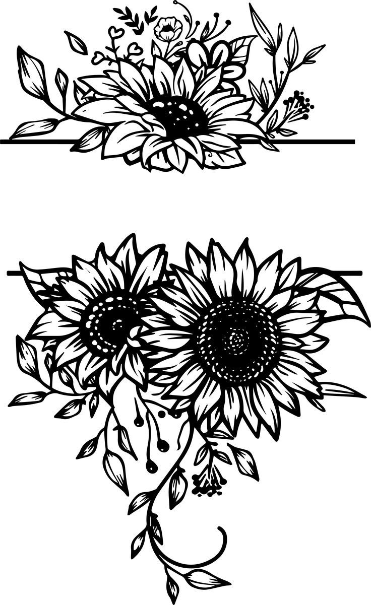 Sunflower 10