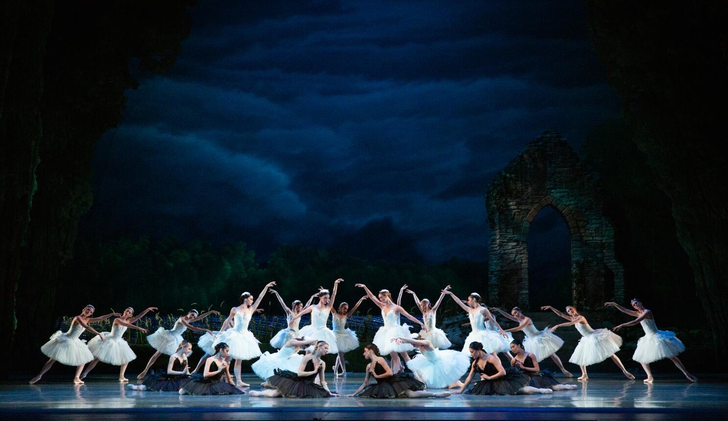 swan lake role crossword