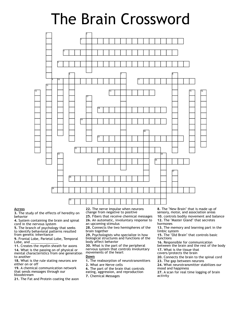 The Brain Crossword WordMint The Brain Crossword WordMint
