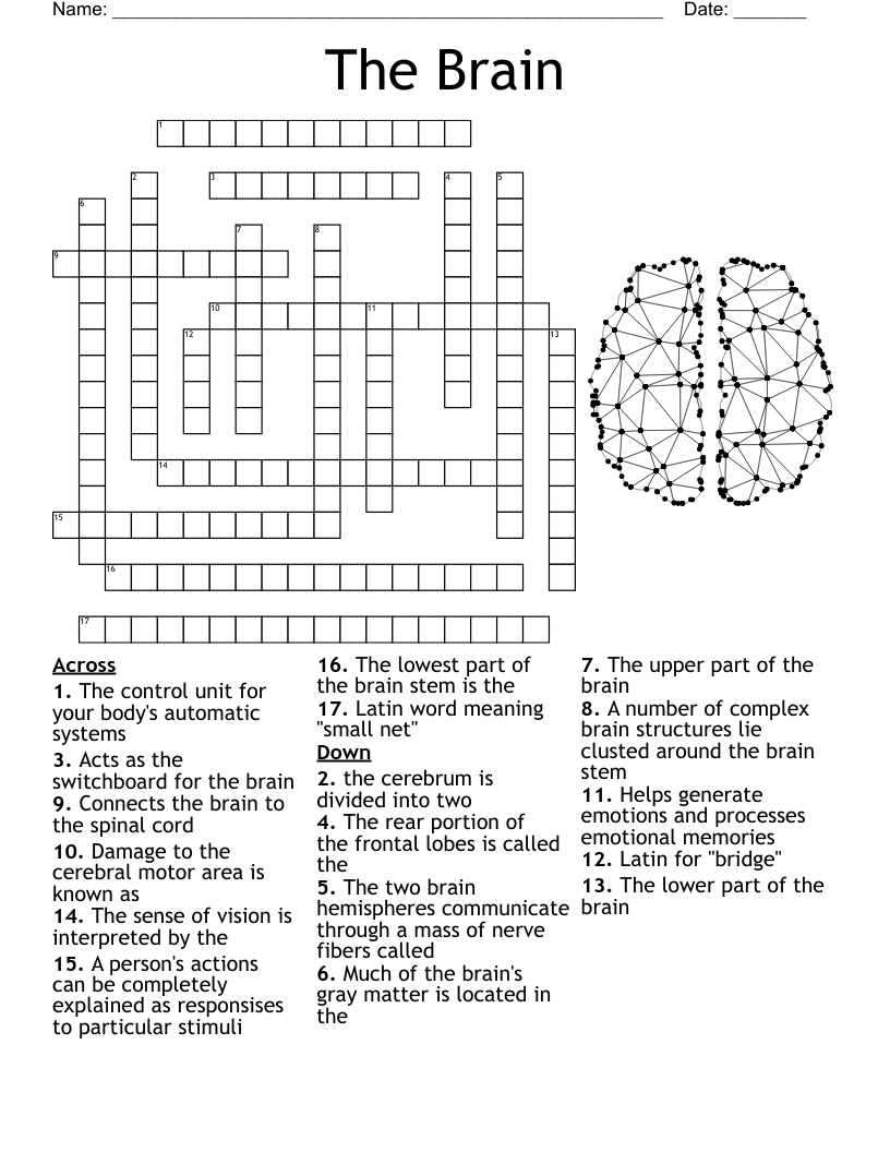 The Brain Crossword WordMint The Brain Crossword WordMint