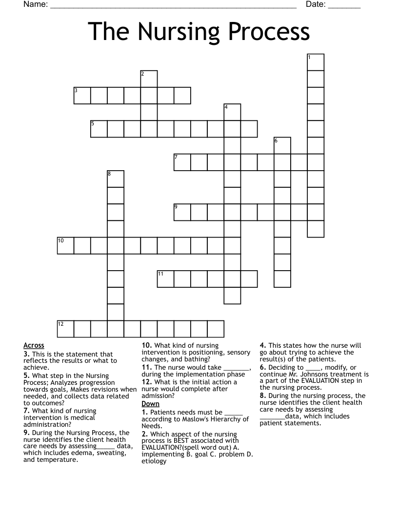 The Nursing Process Crossword WordMint