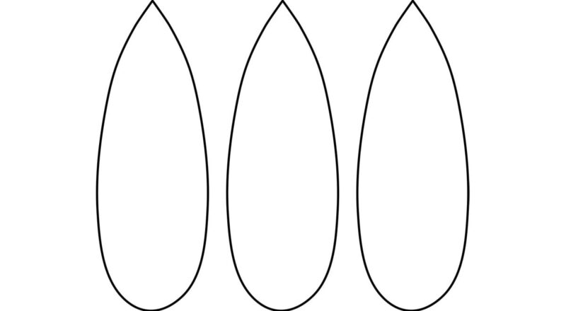 Turkey Feather Template Free Printables The Best Ideas For Kids