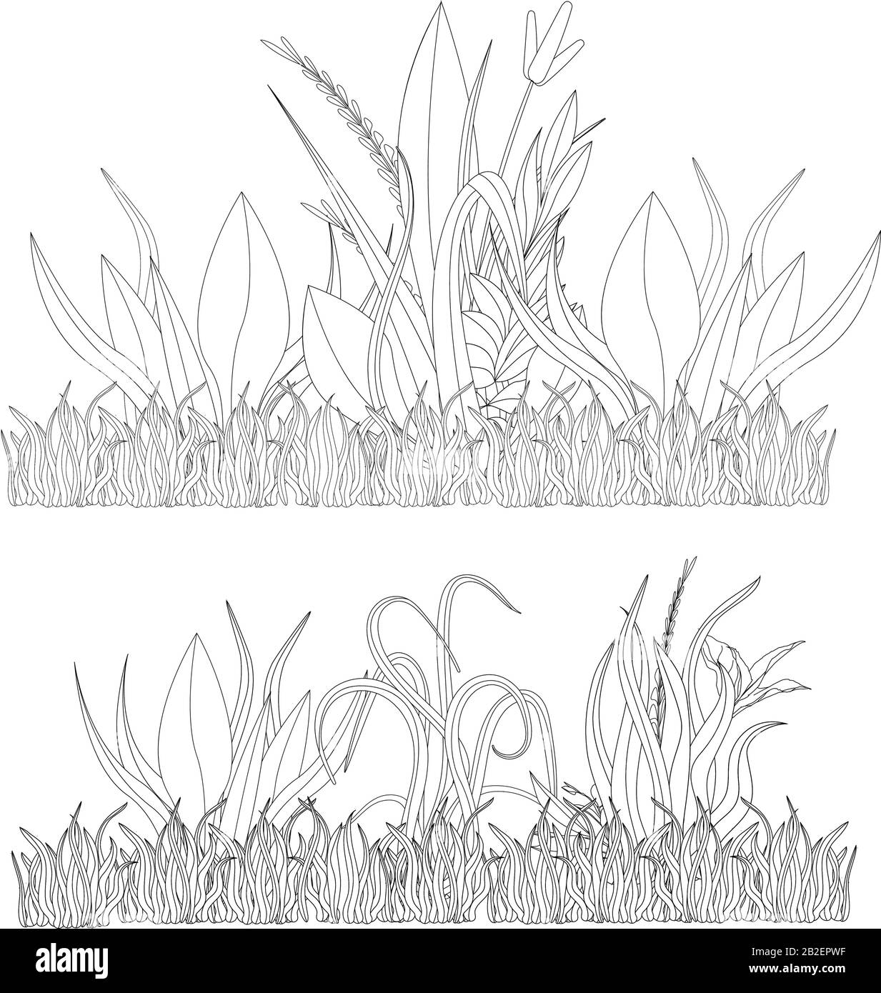 Vector Illustration Of Grass Natural Grass Elements Isolated White Background For Templates Stock Vector Image Art Alamy