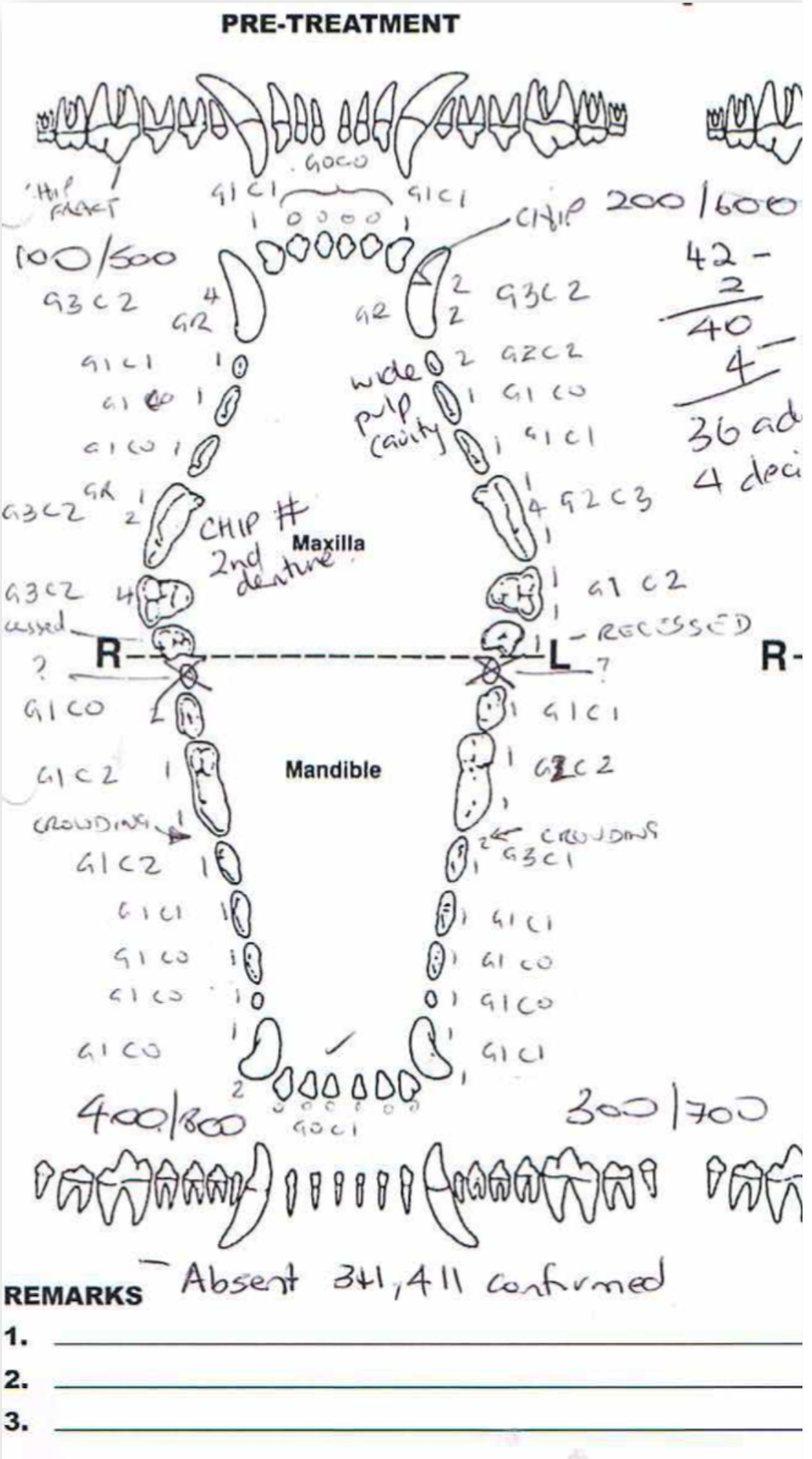 template printable canine dental chart