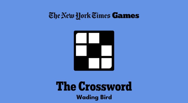 Wading Bird Crossword Clue Answer Power Up Gaming