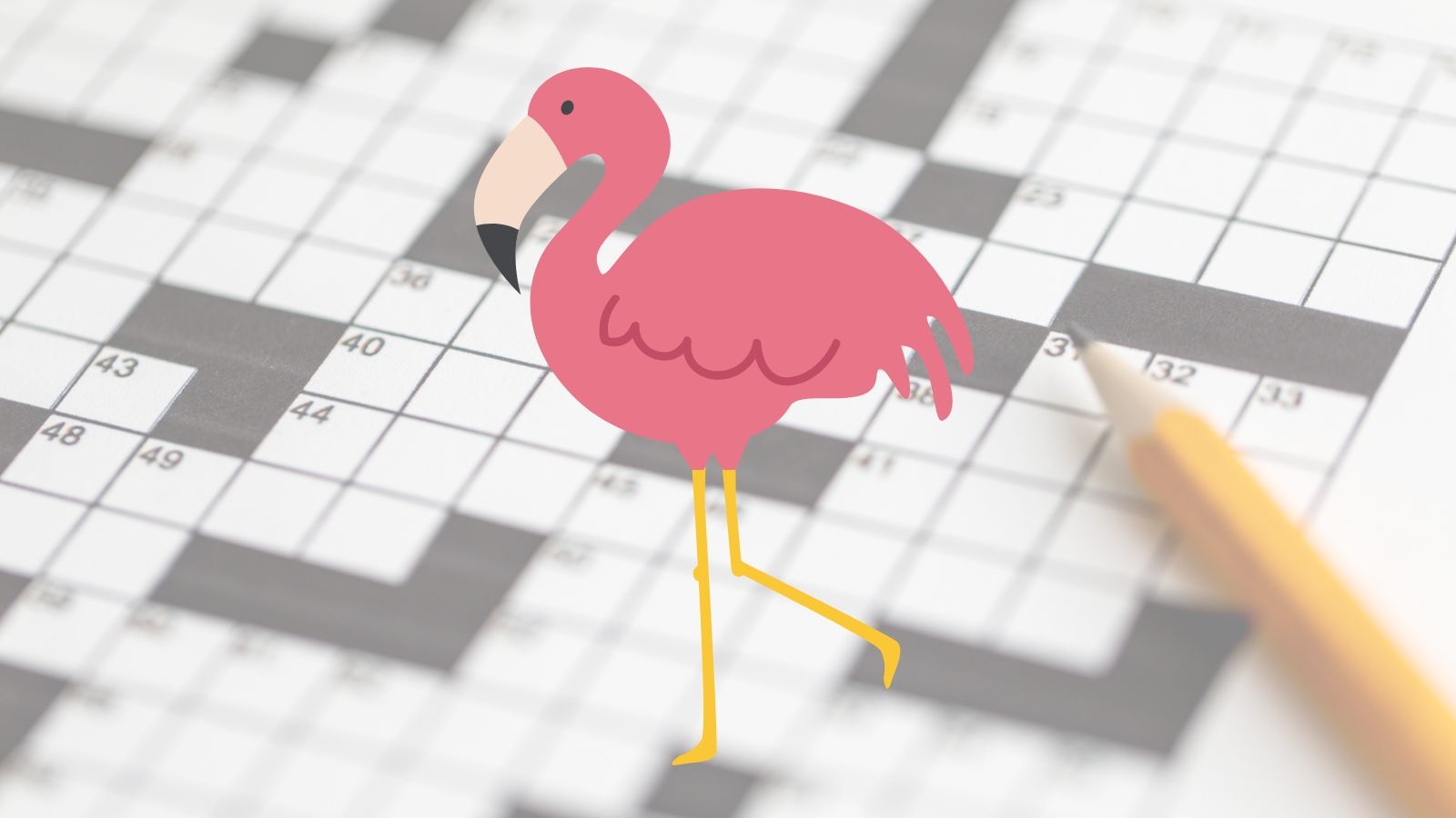 marsh bird crossword puzzle