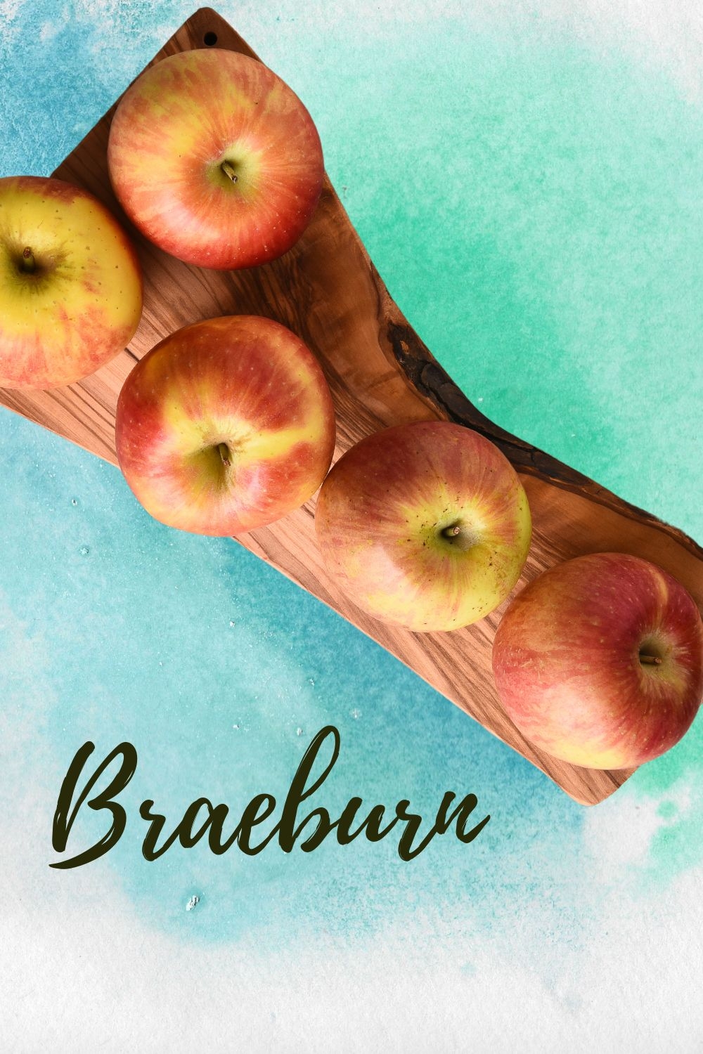 What Apple Tree Is Self Pollinating Mehrabyan Nursery