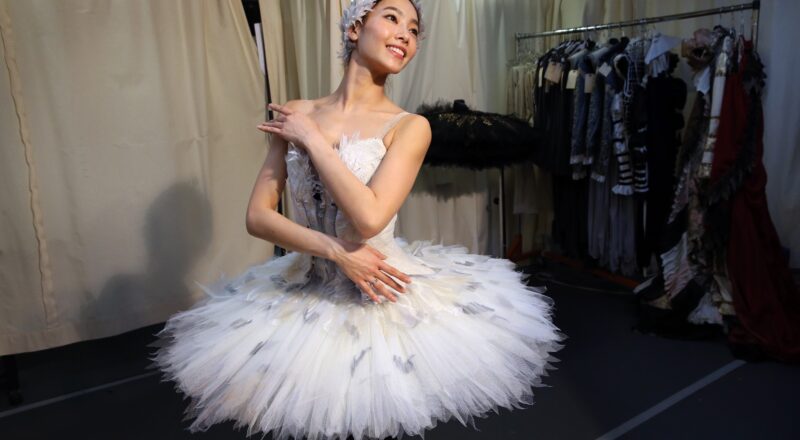 What Does It Take To Be The Lead In Swan Lake The Boston Globe