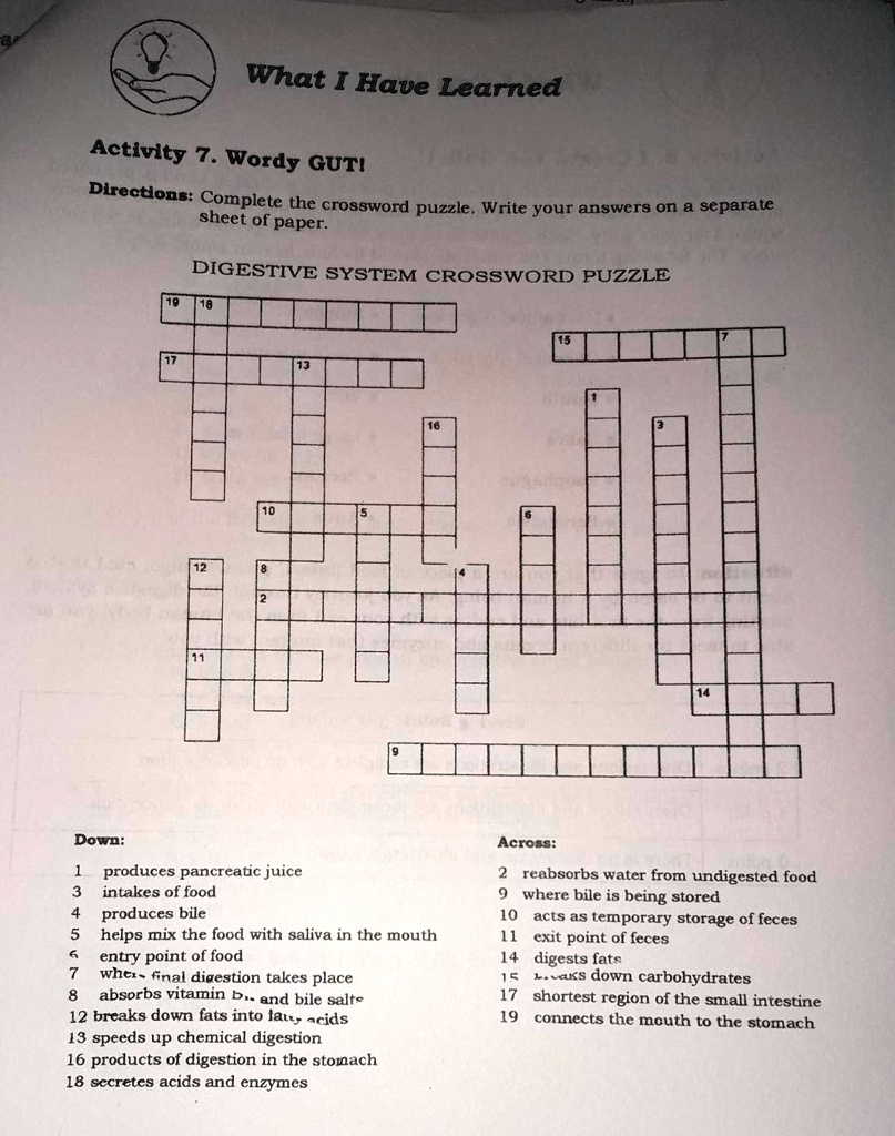 What I Have Learned Activity 7 Wordy GUT Directions Complete The Crossword Puzzle Write Your Answers