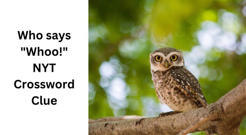 Who Says Whoo NYT Crossword Clue September 24 2024