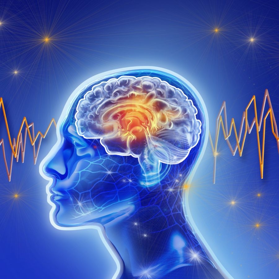 Why Does Your Mind Goes blank New Brain Scans Reveal The Surprising Answer Live Science Why Does Your Mind Goes blank New Brain Scans Reveal The Surprising Answer Live Science